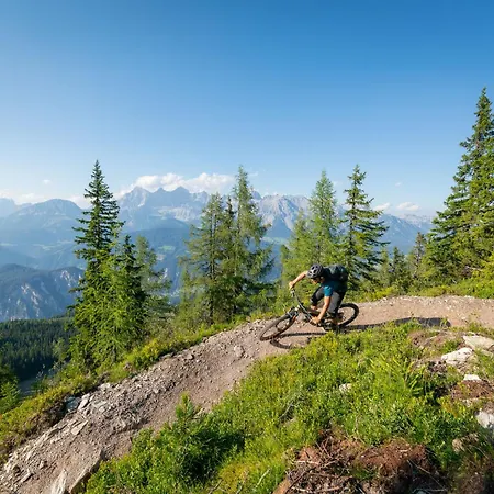 Cafe' Hermann Hotell